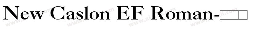 New Caslon EF Roman字体转换